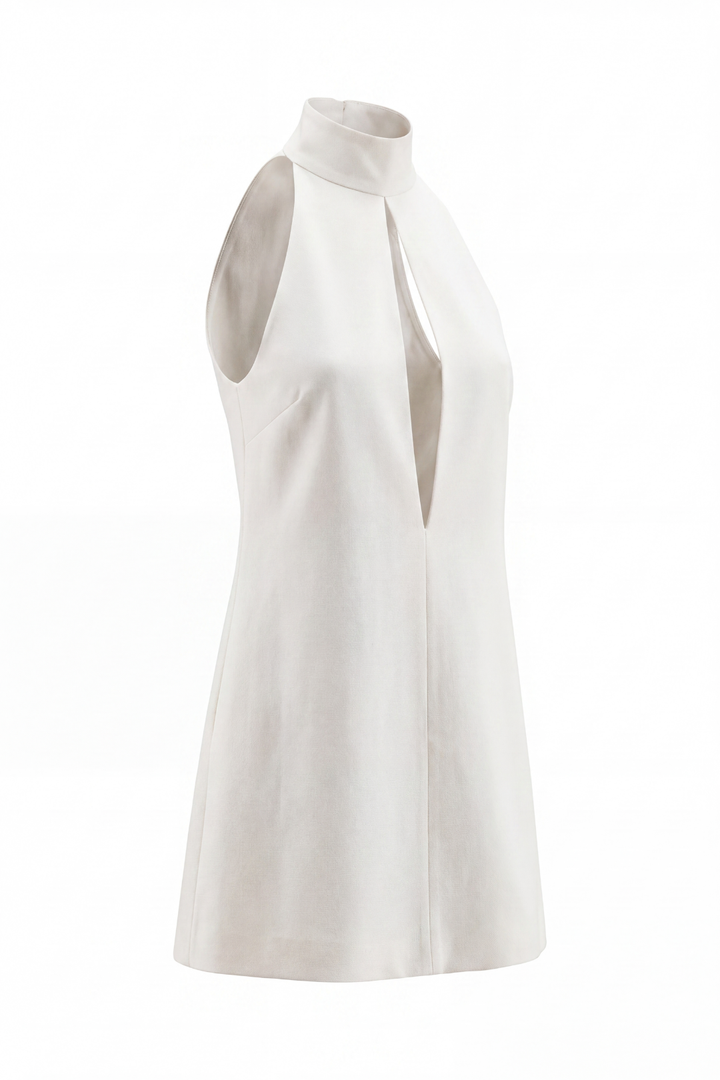 Fariha Sleeveless Cutout Mini Dress