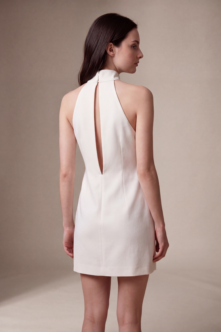 Fariha Sleeveless Cutout Mini Dress