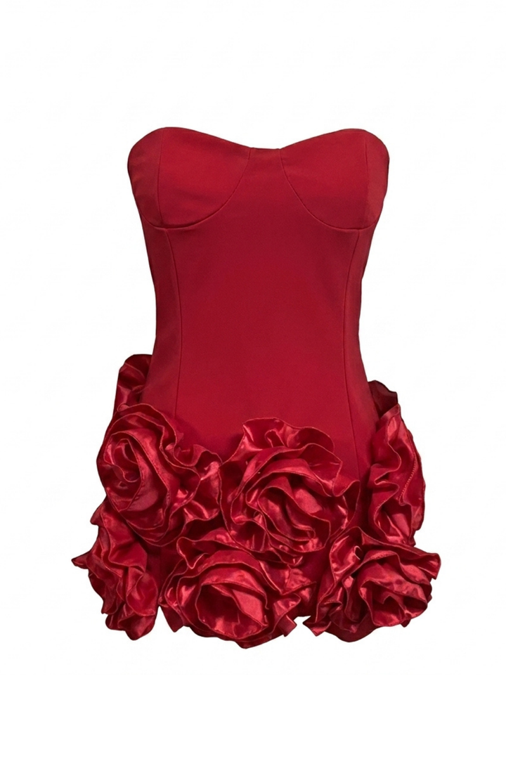 Faylira Sleeveless Corset Mini Dress