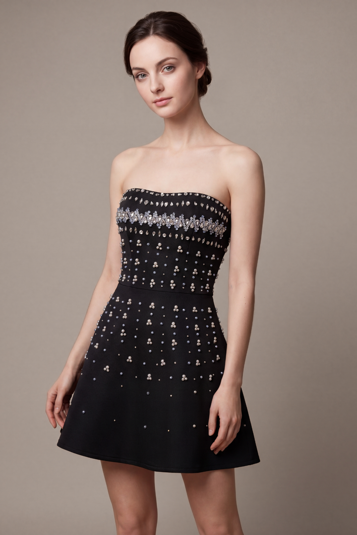 Selora Crystal Embellished A-Line Mini Dress