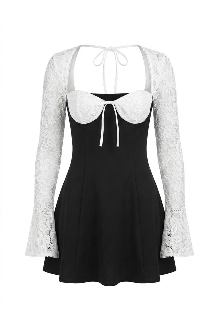 Margot Sheer Lace Sleeve A Line Mini Dress