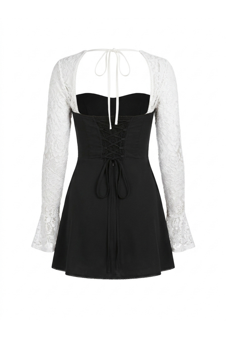 Margot Sheer Lace Sleeve A Line Mini Dress