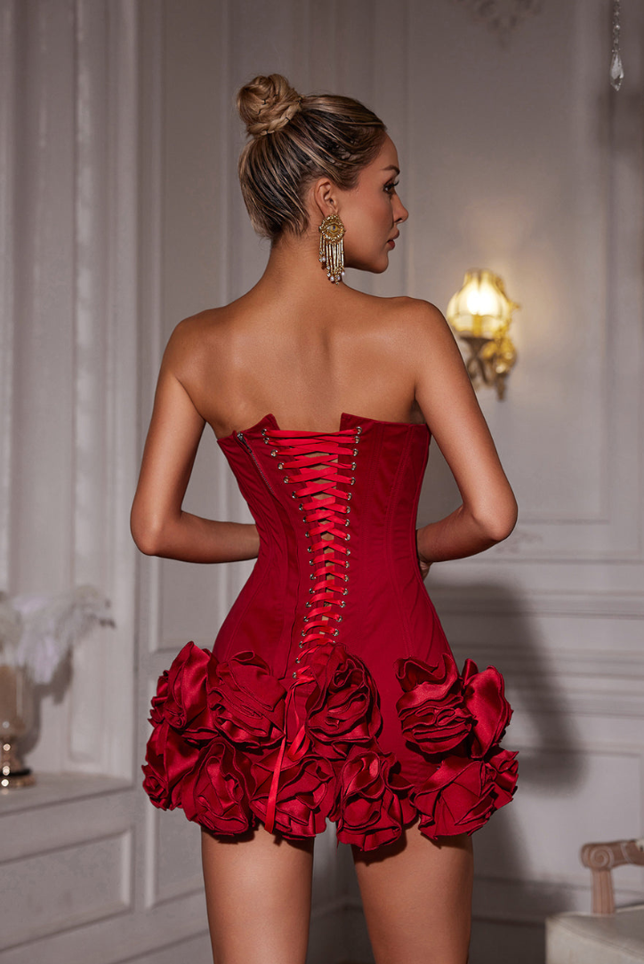 Faylira Sleeveless Corset Mini Dress