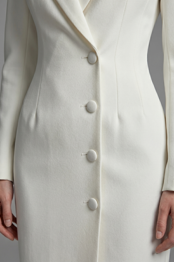 Daphne Lapel Long Sleeve Midi Dress