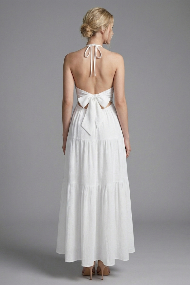 Liora Flowing Halter Maxi Dress