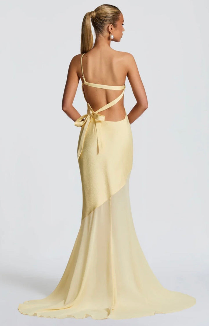 Feline Sleek Fitted Maxi Dress