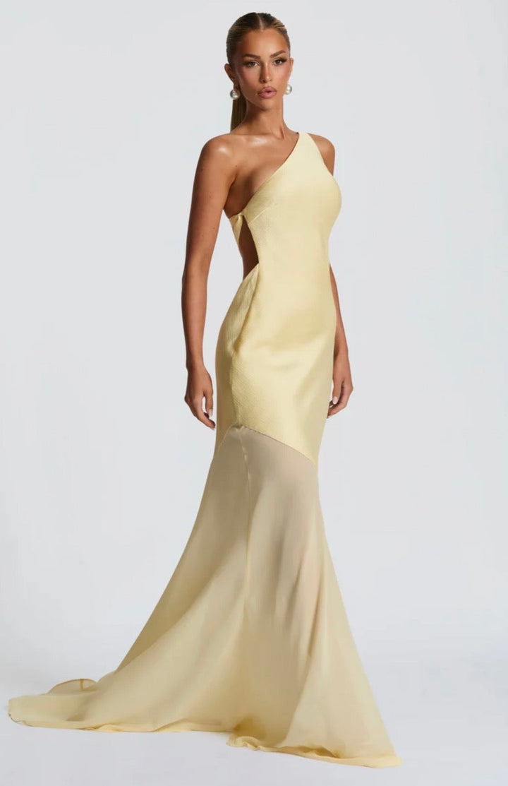 Feline Sleek Fitted Maxi Dress