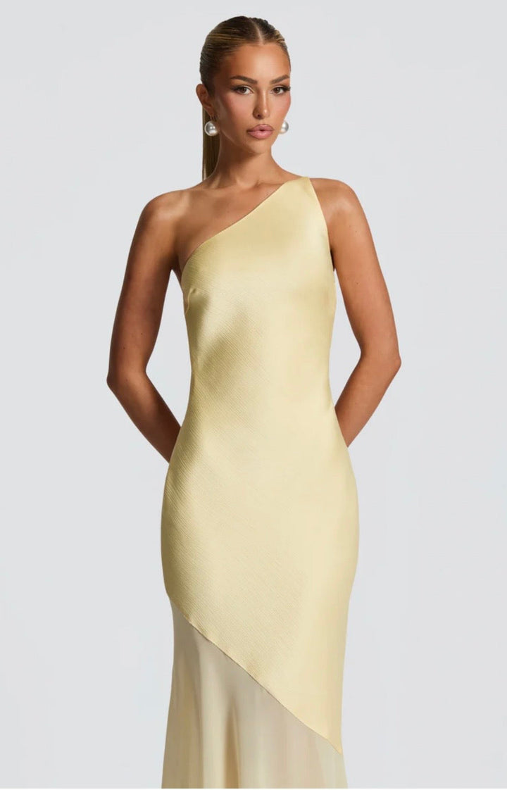 Feline Sleek Fitted Maxi Dress