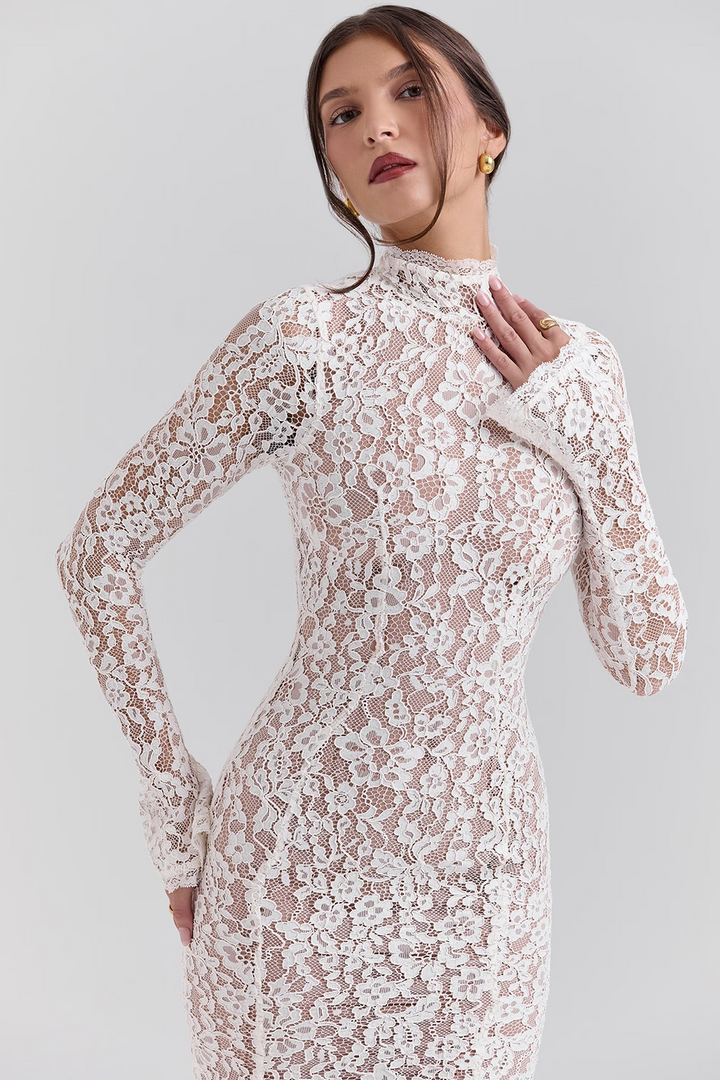 Vivienne Fitted Lace High Neck Midi Dress
