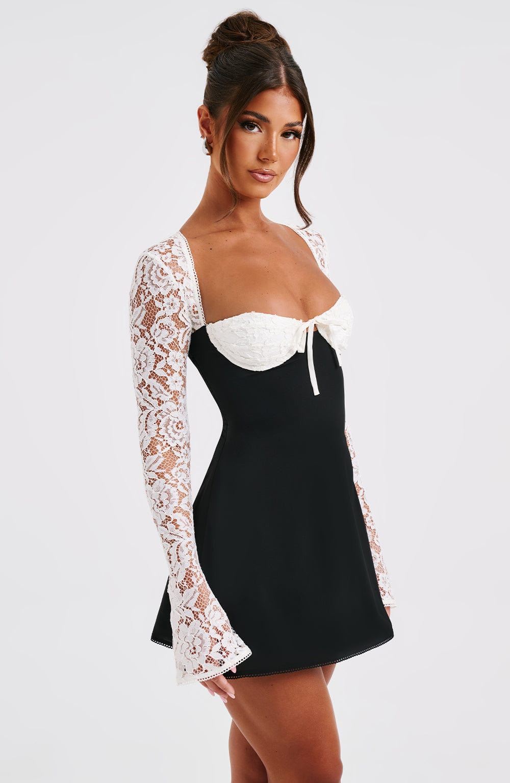 Margot Sheer Lace Sleeve A Line Mini Dress